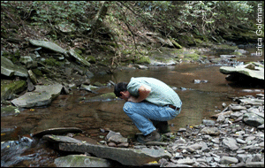 Bob Hilderbrand turns over a rock to look for insect larvae in a pristine stream.