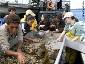 Seven Mellon scholars sort through the contents of a Puget Sound dredge.