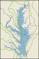 Estuary Model: Depicts sediment, algal blooms, and the effects of filter feeders