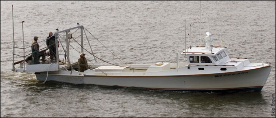 Mydra Ann, a classic Bay Workboat