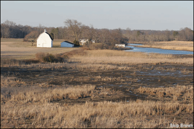 farm along the Naticoke River