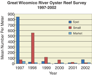 Bar chart of annual dive surveys for the Great Wicomico River oyster reef (1997-2002)