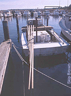 Oyster tongs on a docked boat