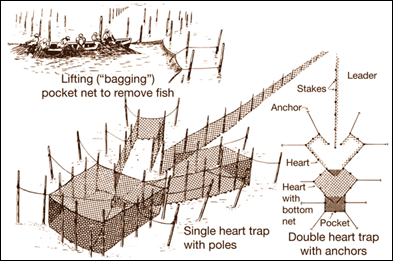 Chesapeake Quarterly Volume 2, Number 4: Managing the Bay's Fisheries (Part  2)