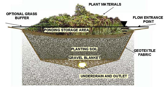 Diagram of a rain garden - by Allen Davis 