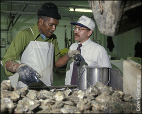 Tom Rippen with a seafood worker working with oysters - photo by Edwin Remsberg