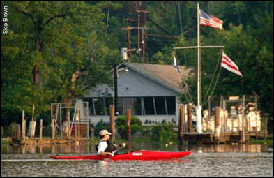 view of the shoreline from a kayak