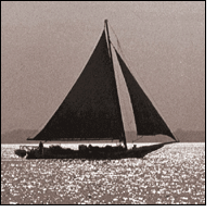 A skipjack under sail in the Chesapeake Bay