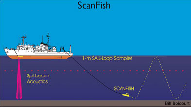 schematic showing Scanfish undulating track relative to the research vessel - by Bill Boycourt 