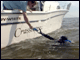 Ken Paynter hands off an underwater video camera to diver Tim Koles