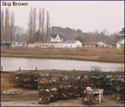 Wenona, near Tangier Sound's rich crabbing grounds - by Skip Brown